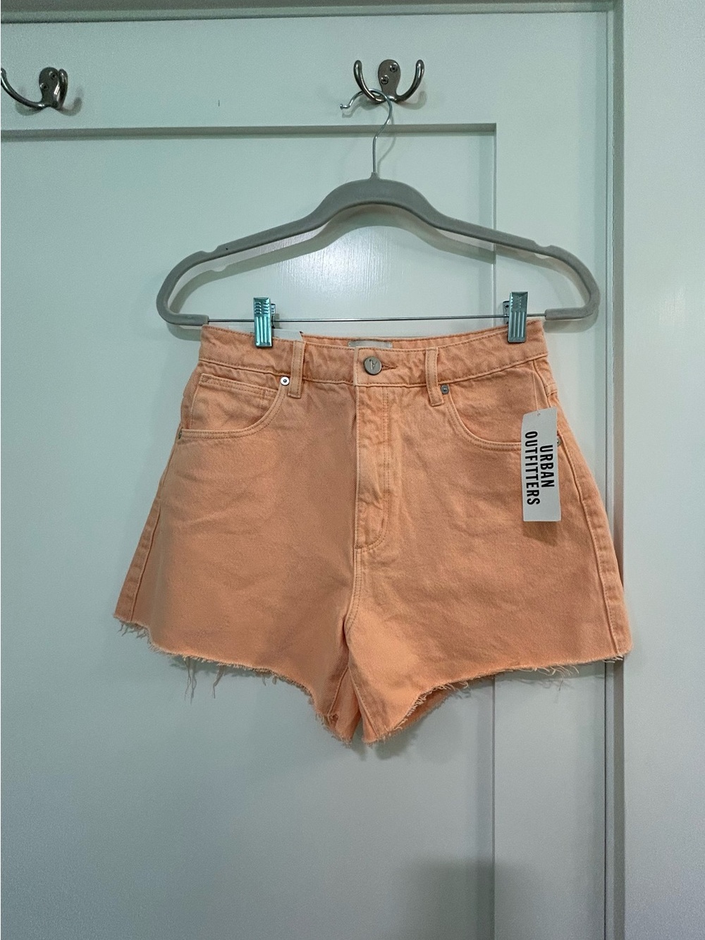 Urban Outfitters Jean Peach Venice Shorts NWT — Size 27